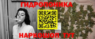 хмурый Новозыбков