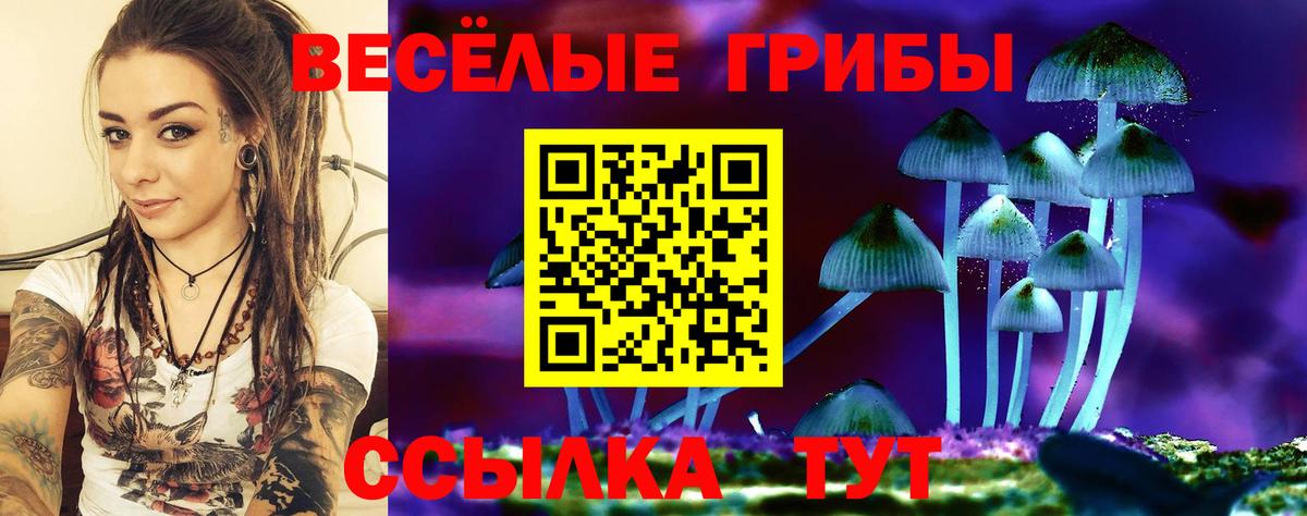 Галлюциногенные грибы Psilocybe Славянск-на-Кубани