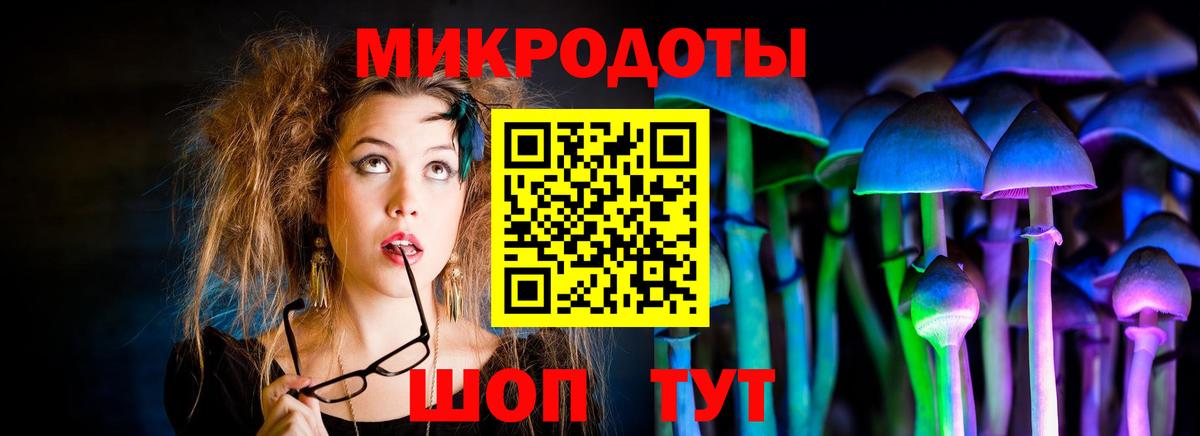 Галлюциногенные грибы Psilocybine cubensis  Галлюциногенные грибы Psilocybine cubensis  Славянск-на-Кубани  Вход с VPN 